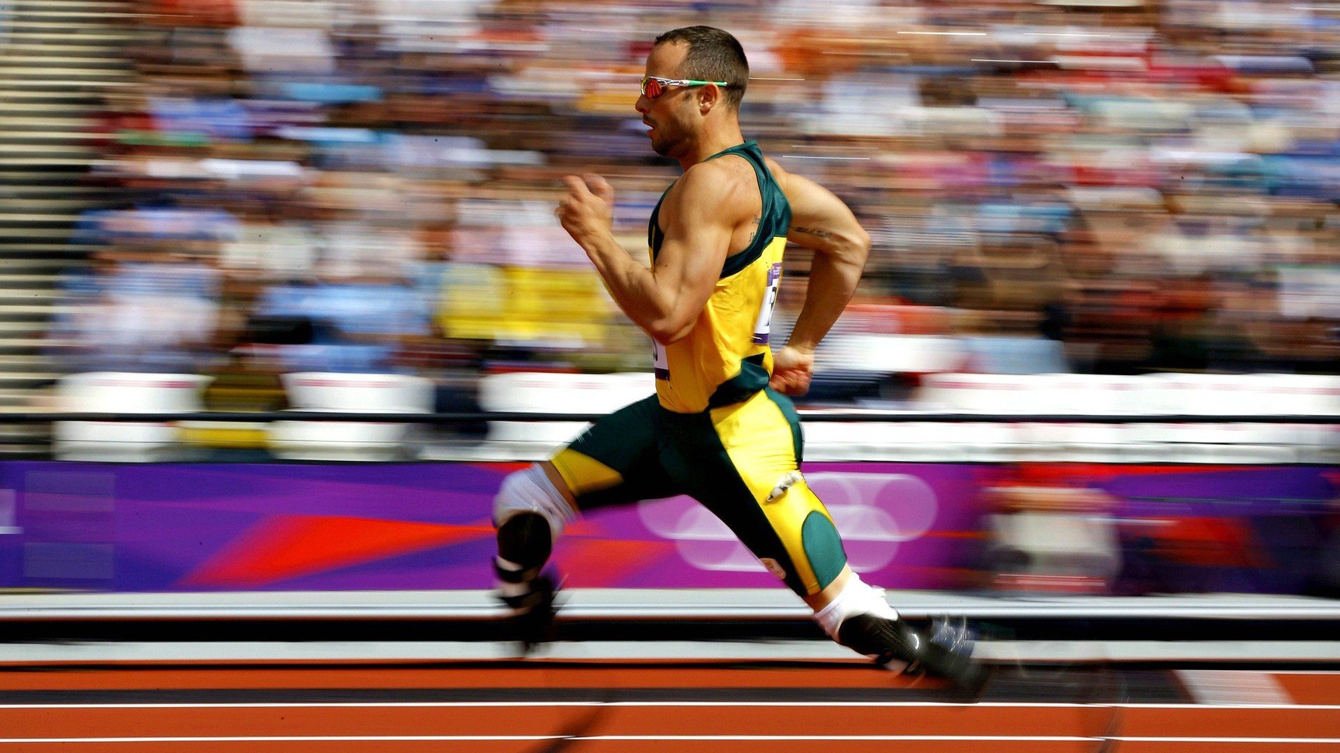 樊振东22分钟终结战斗，上演爆冲庆祝，樊振东又有新称号了